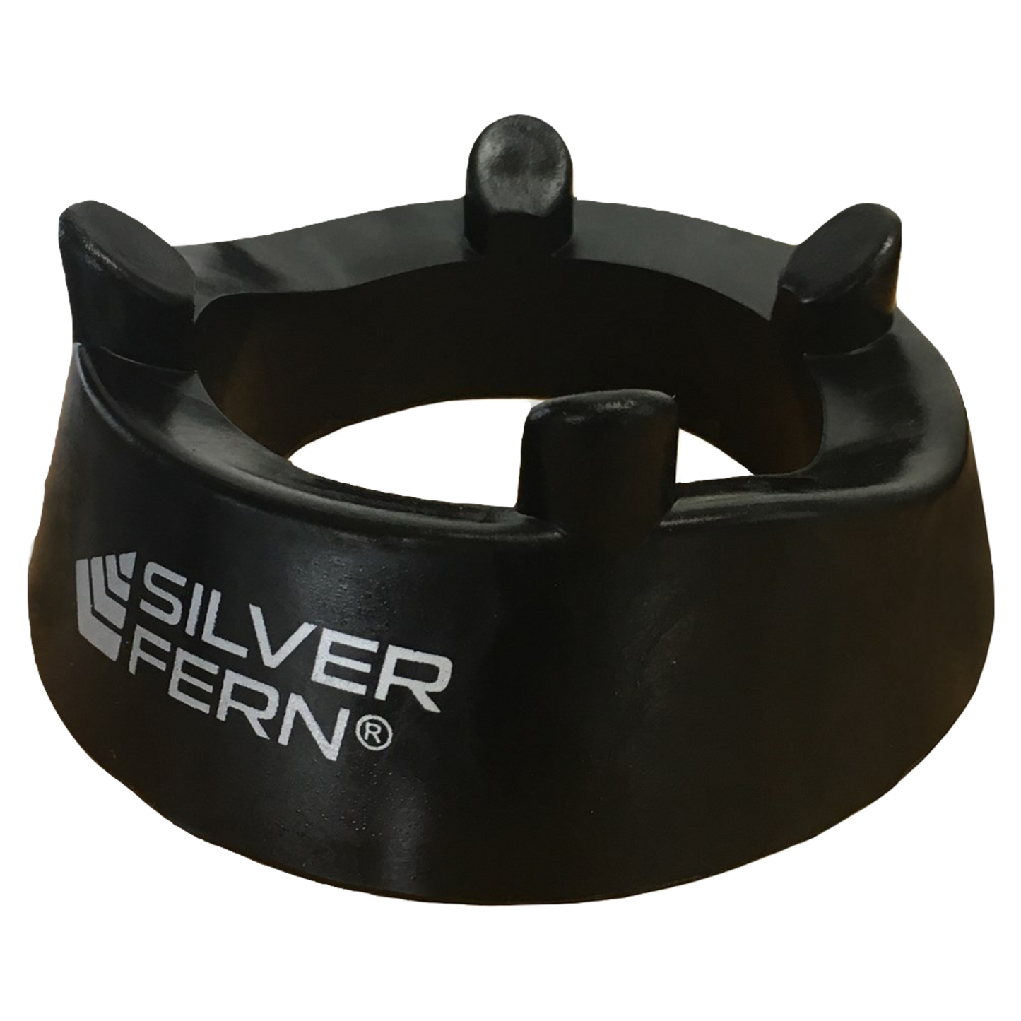 Silver Fern Kicking Tee - Low